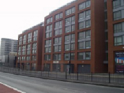 p1375888.jpg